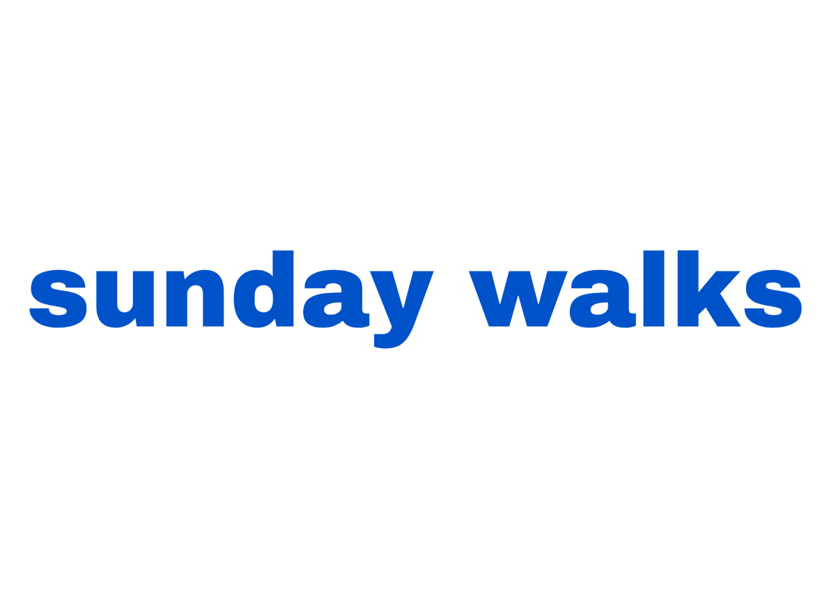 Sunday Walks - Engineered for Women